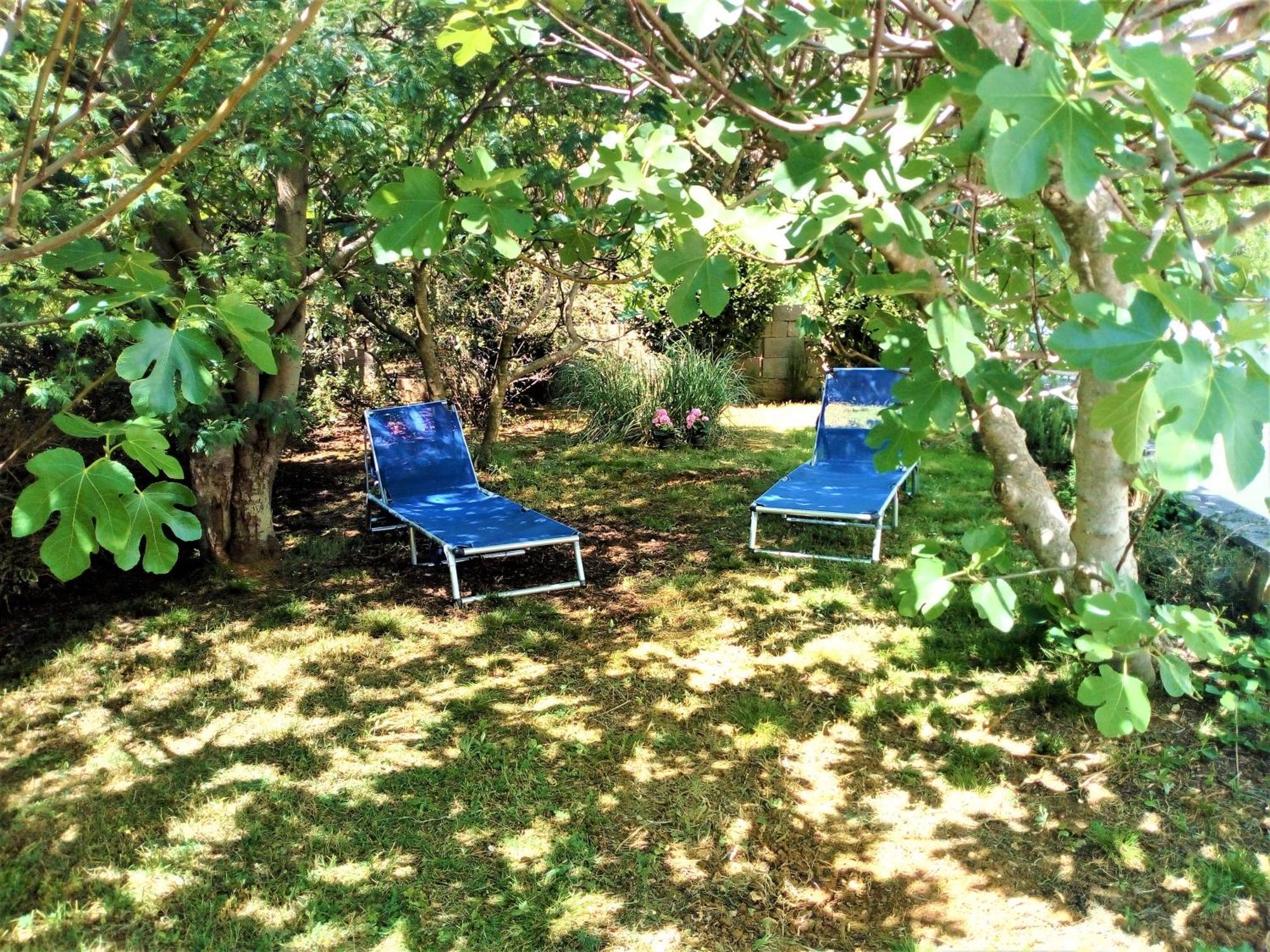 Manuel Apartment